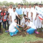 Tree Plantation